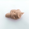 Tinted Moisturizer